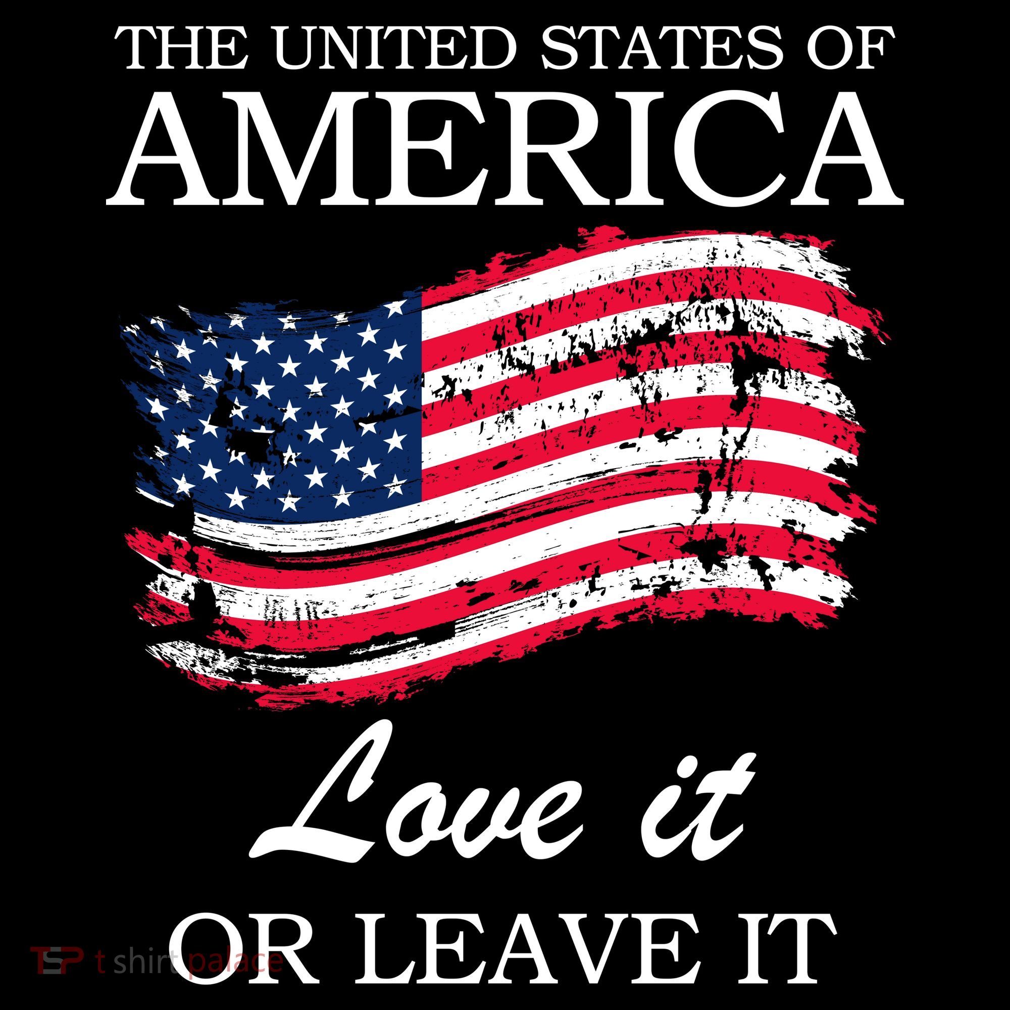 The USA Love It Or Leave It Stripe Pom Pom Beanie