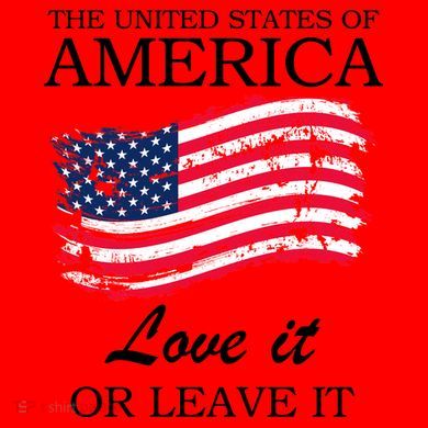 The USA Love It Or Leave It Santa Hat