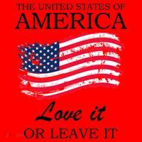 The USA Love It Or Leave It Santa Hat thumb 1