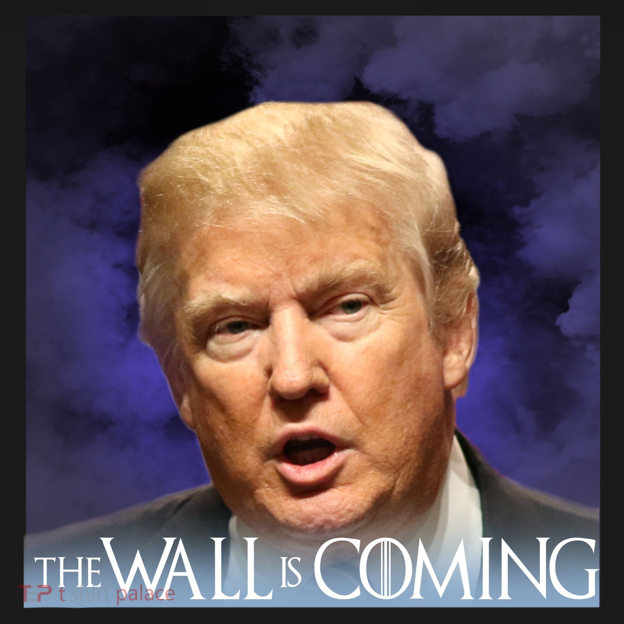The Wall Is Coming Sweatshirt
