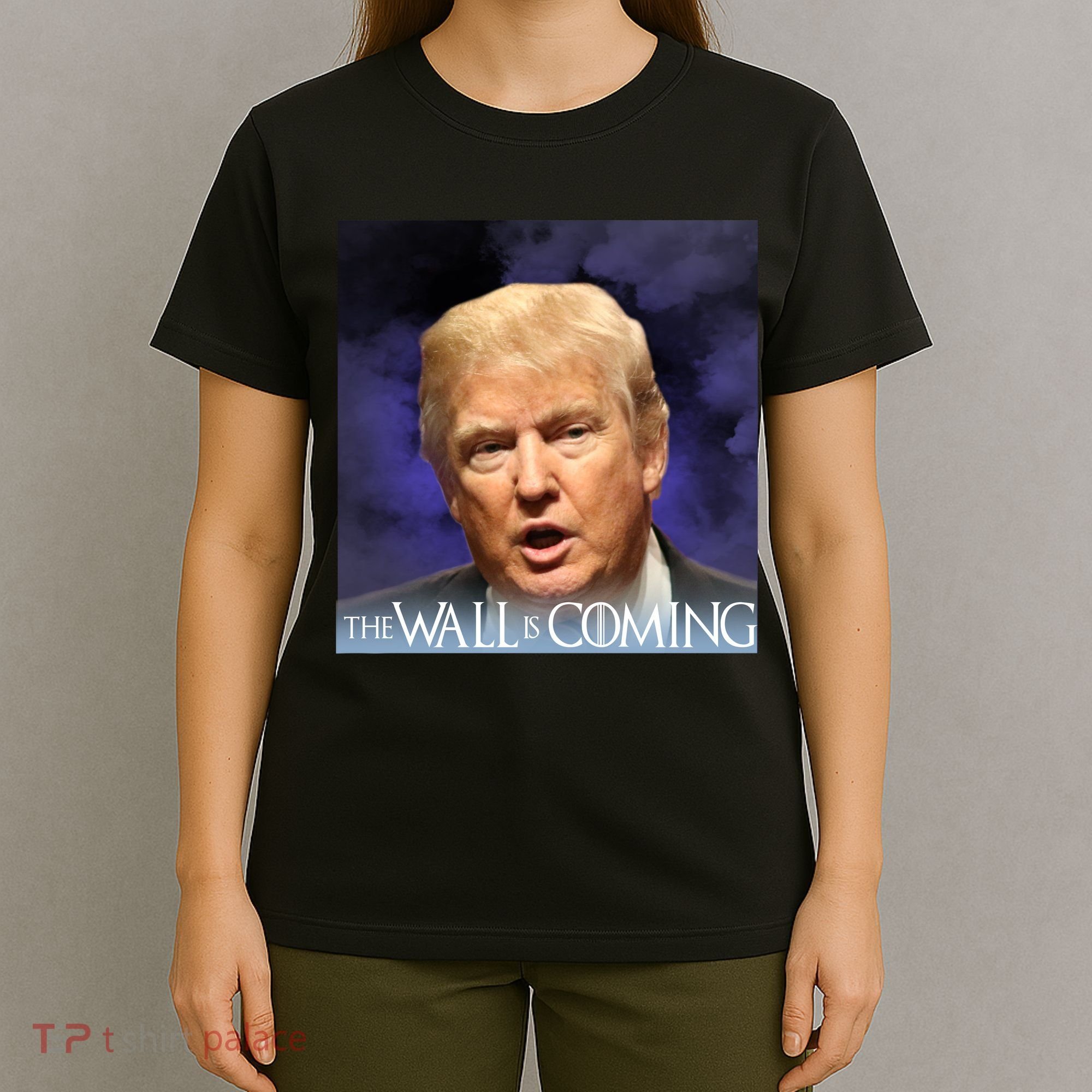 The Wall Is Coming T-Shirt