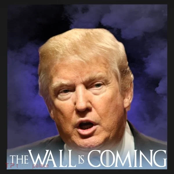The Wall Is Coming Bucket Hat
