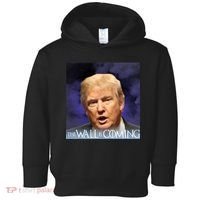 The Wall Is Coming Toddler Hoodie thumb 0