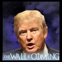 The Wall Is Coming Toddler T-Shirt thumb 4