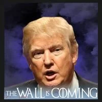 The Wall Is Coming Kids T-Shirt thumb 4