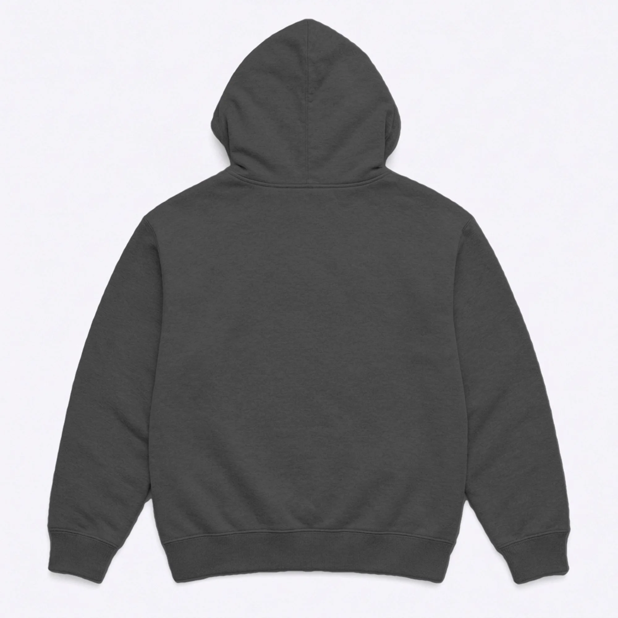 The Wifi Is Down Funny T-rex Hoodie