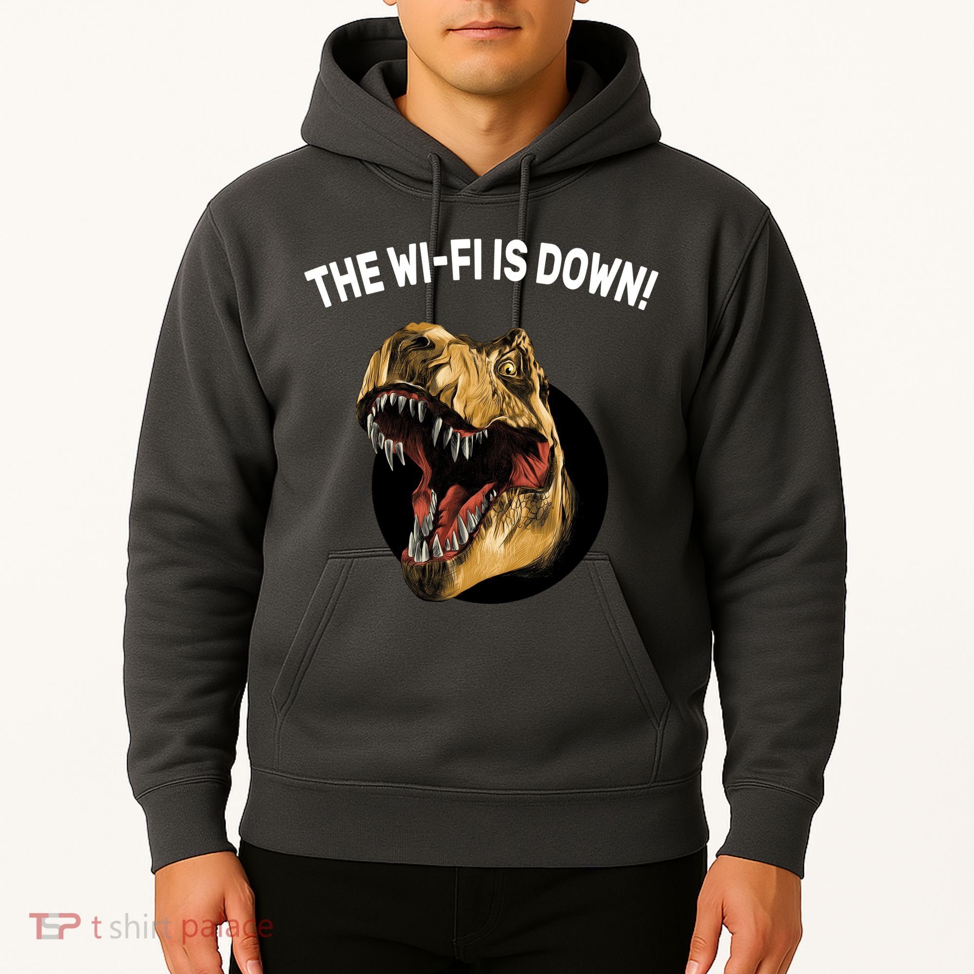 The Wifi Is Down Funny T-rex Hoodie