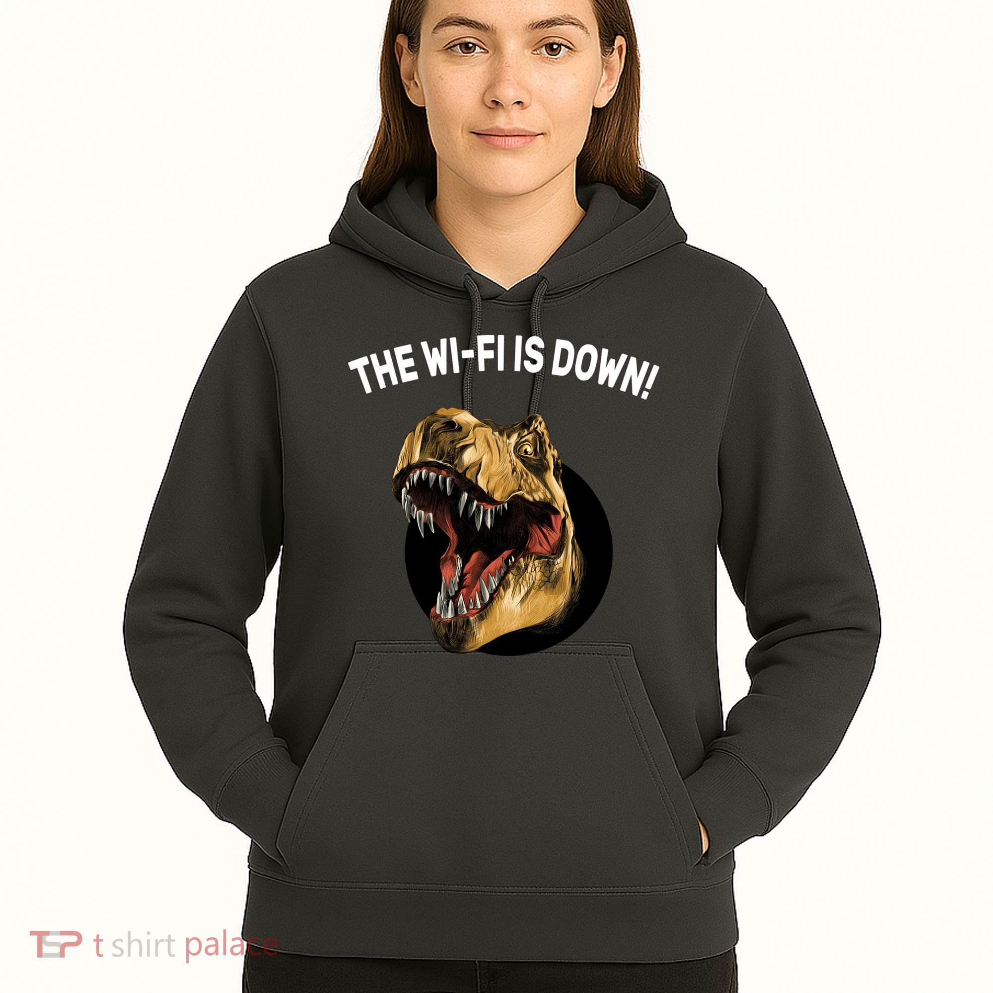 The Wifi Is Down Funny T-rex Hoodie