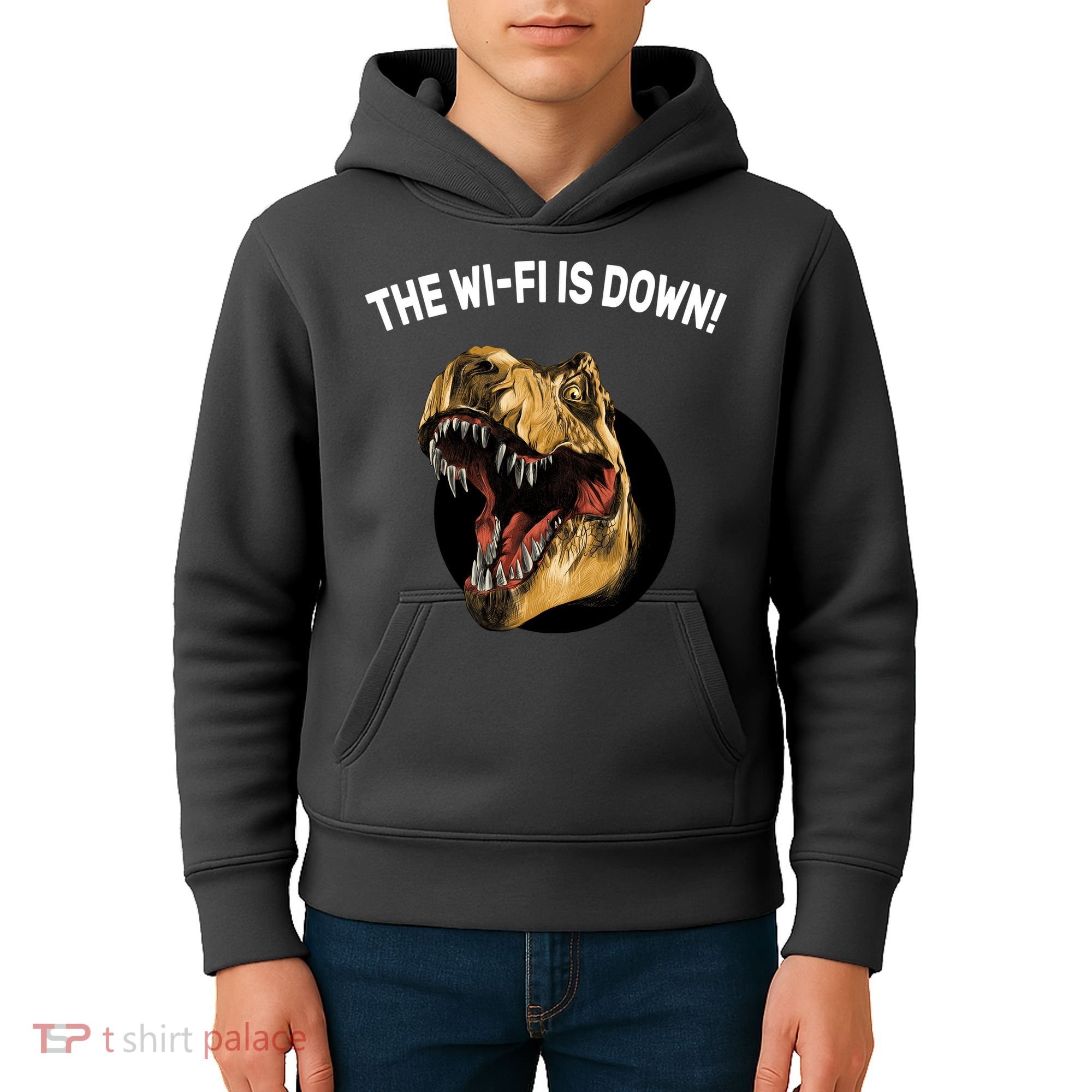 The Wifi Is Down Funny T-rex Kids Hoodie