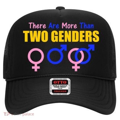 There Are More Than Two Genders Gender Signs Hat