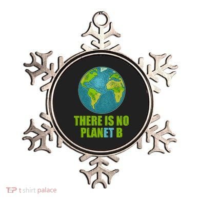There is No Plan B Celebrate Earth Day Ornament