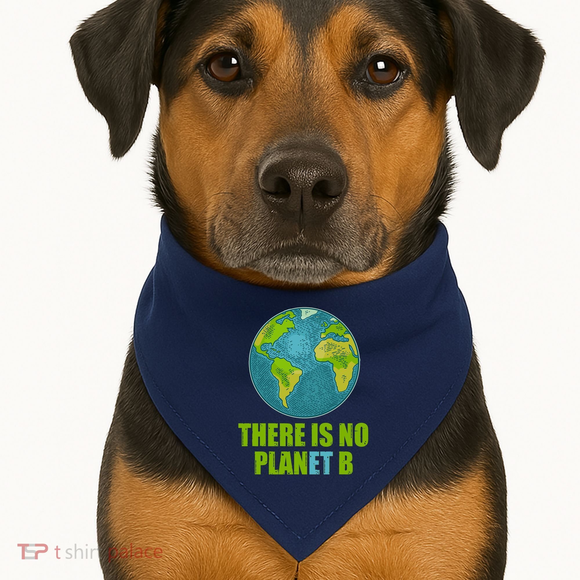There is No Plan B Celebrate Earth Day USA-Made Doggie Bandana