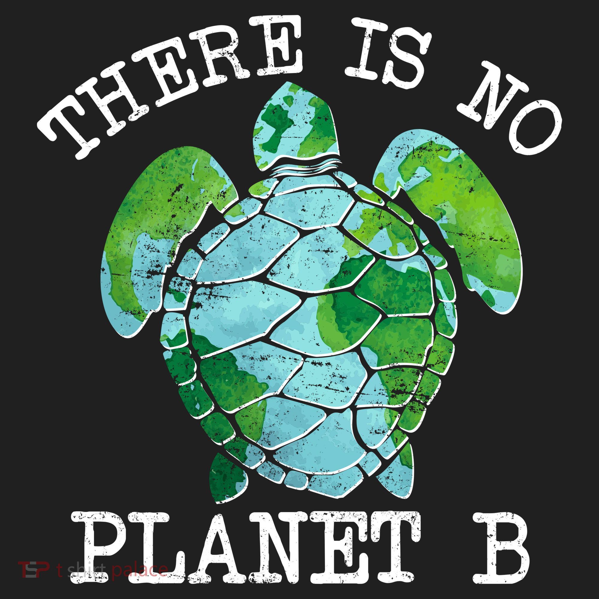 There is No Planet B Earth Women's Sweatshirt