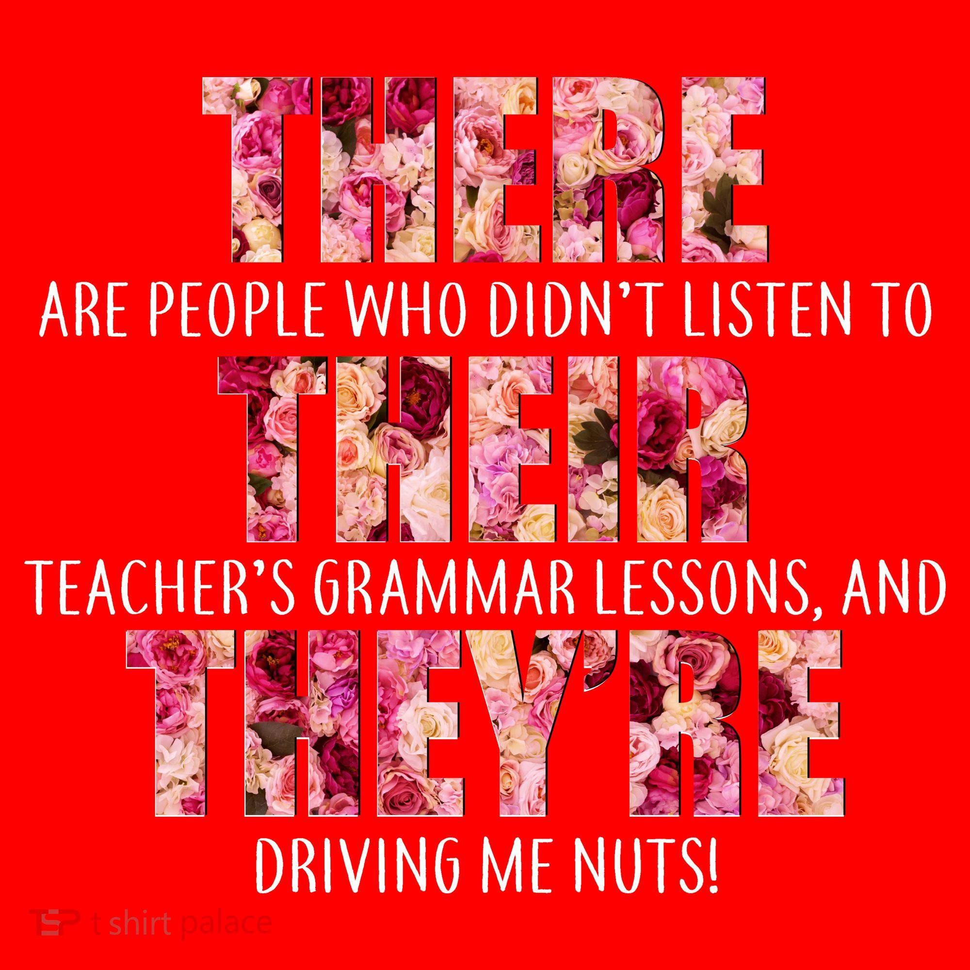 There Their They're Grammar Lessons Santa Hat