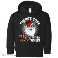 There's Some Ho's In This House Plaid Santa Toddler Hoodie thumb 0