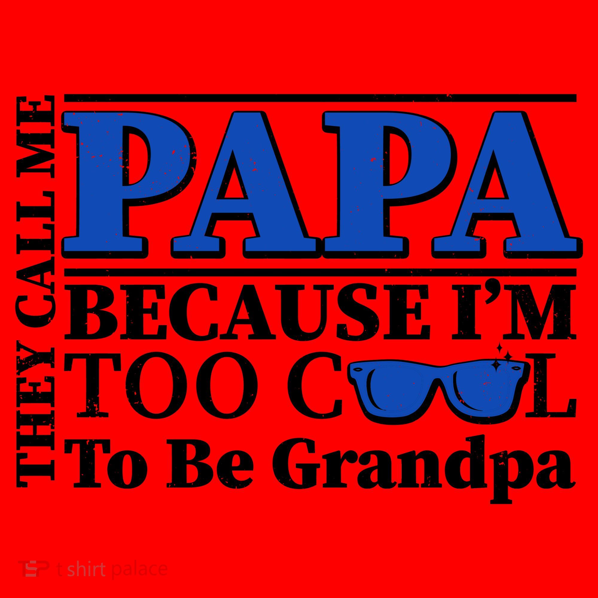 They Call Me Papa Because I'm Too Cool To Be Grandpa Santa Hat