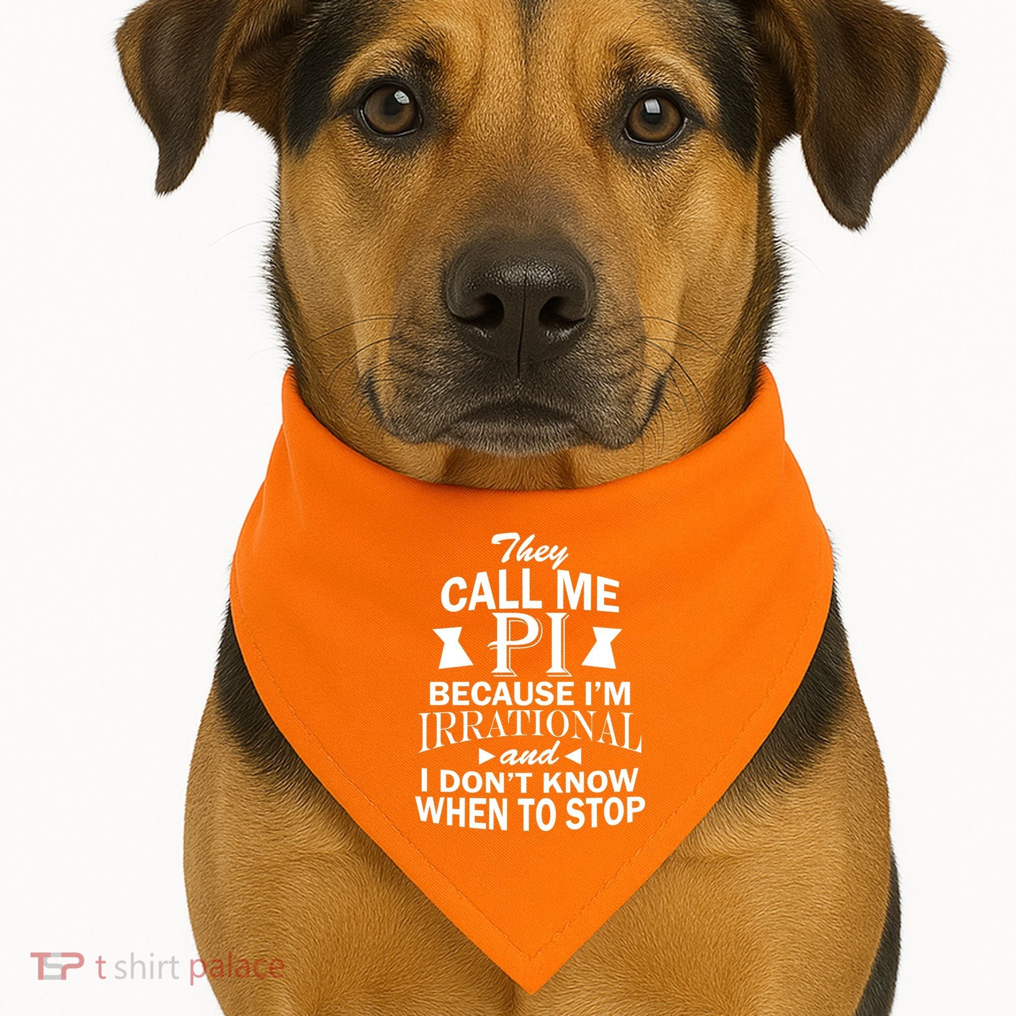 They Call Me PI Because I'm Irrational USA-Made Doggie Bandana