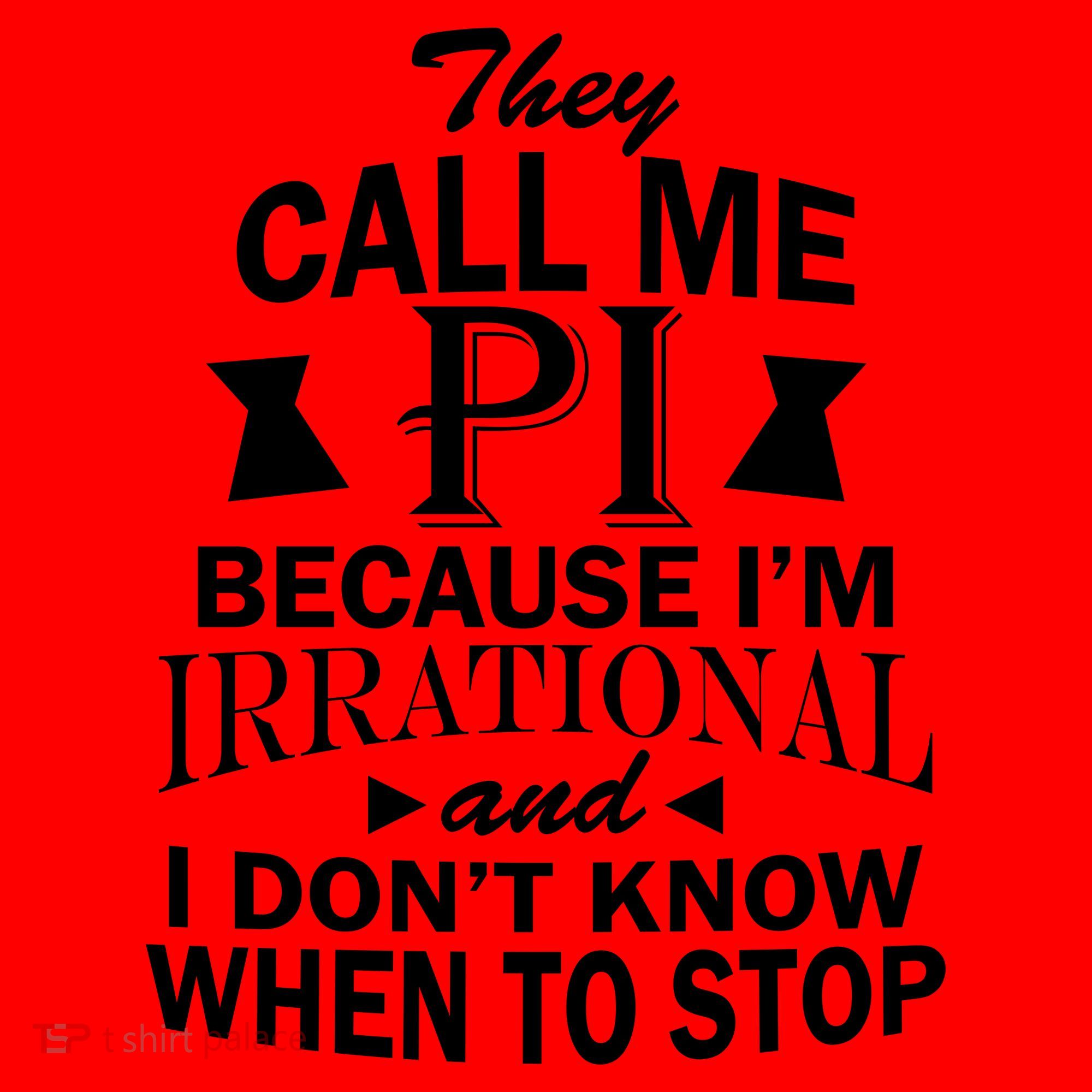 They Call Me PI Because I'm Irrational Santa Hat