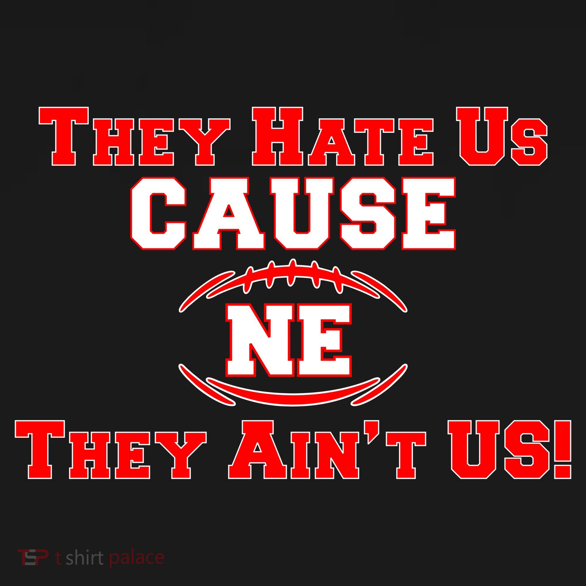 They Hate Us Cause They Aint Us NE New England Football Cropped Pullover Crew