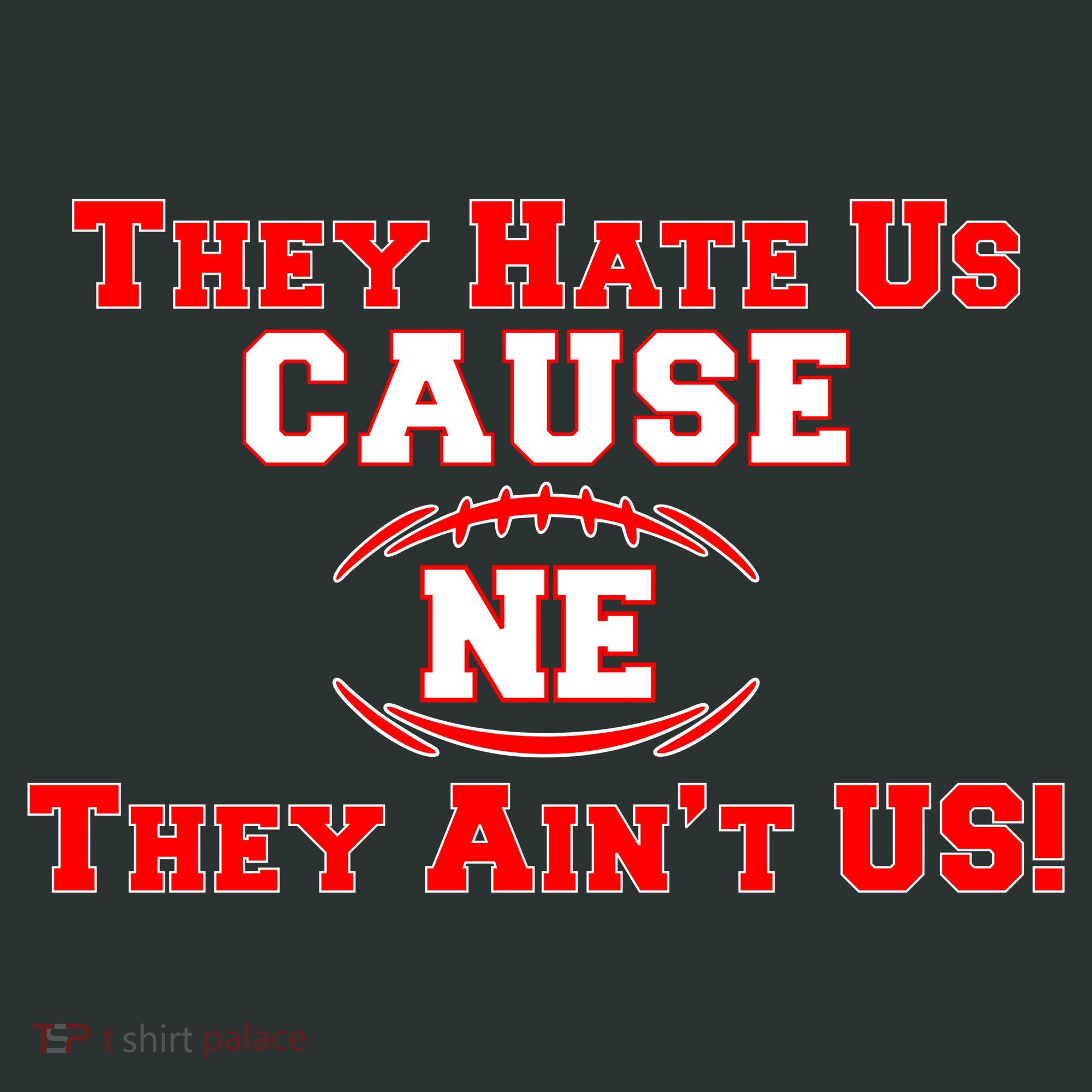 They Hate Us Cause They Aint Us NE New England Football Infant Baby Jersey Bodysuit