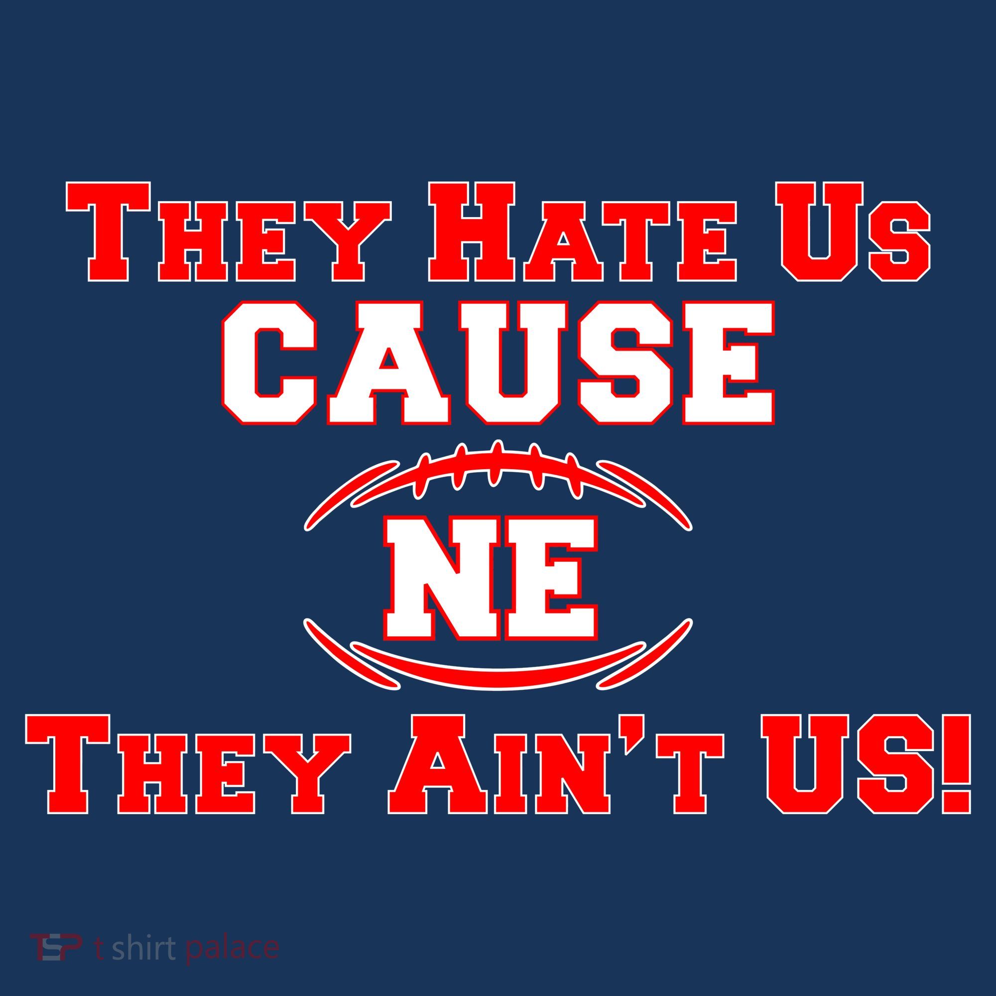They Hate Us Cause They Aint Us NE New England Football Baby Long Sleeve Bodysuit