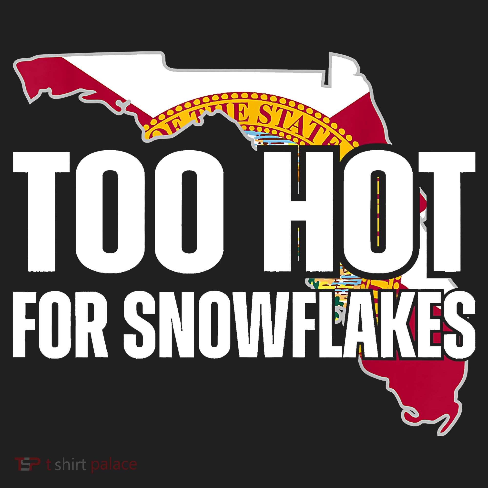 Too Hot For Snowflakes Florida Flag Map State Funny Saying Beanie