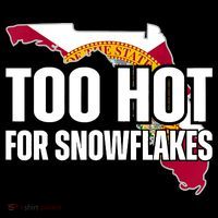 Too Hot For Snowflakes Florida Flag Map State Funny Saying Women's Hoodie thumb 2