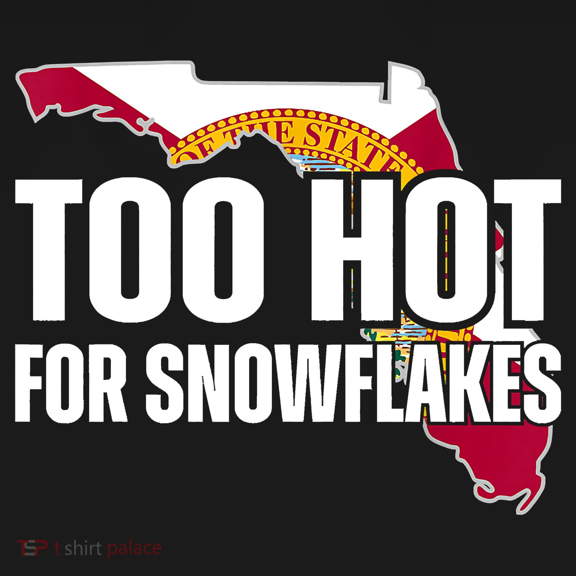 Too Hot For Snowflakes Florida Flag Map State Funny Saying Ornament