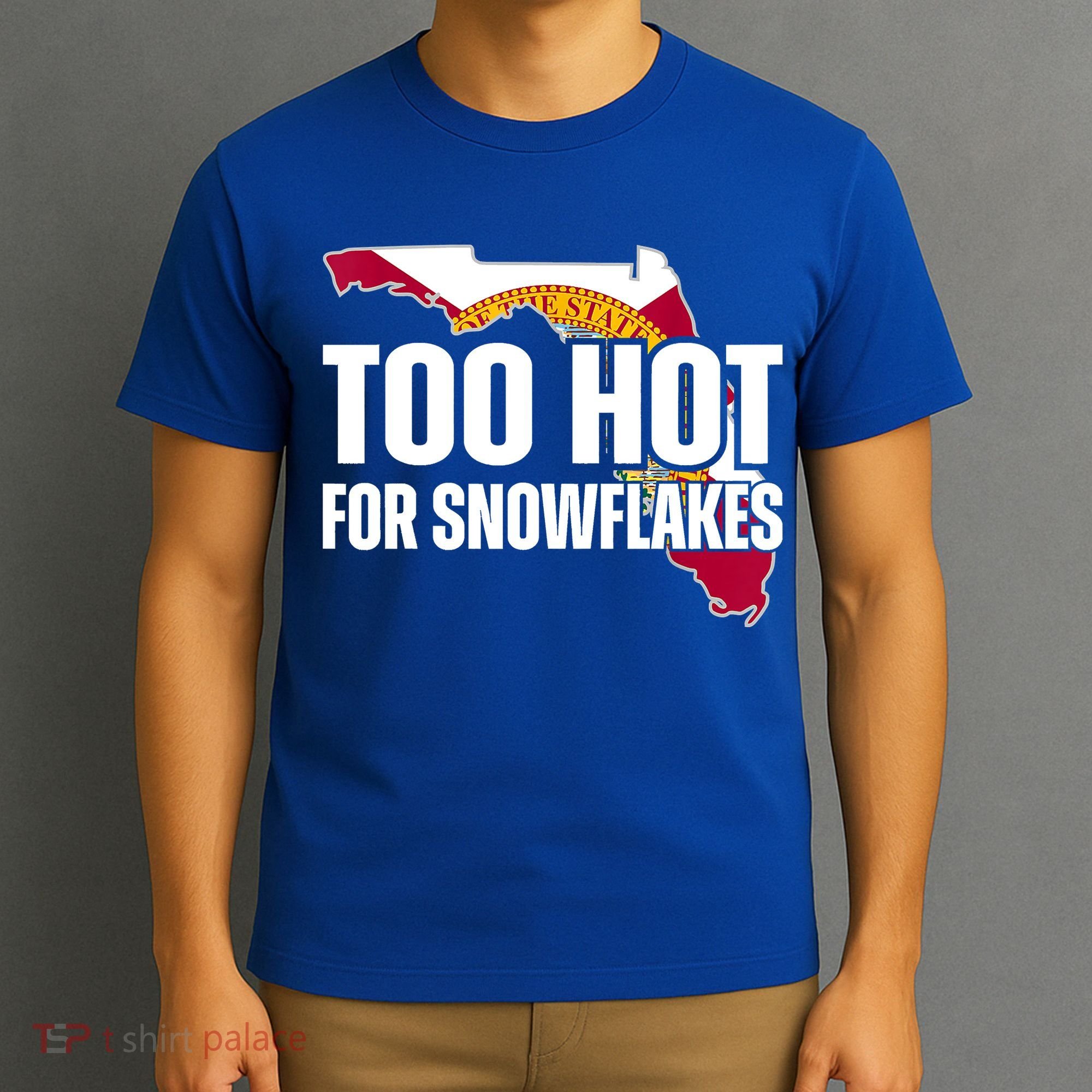 Too Hot For Snowflakes Florida Flag Map State Funny Saying T-Shirt