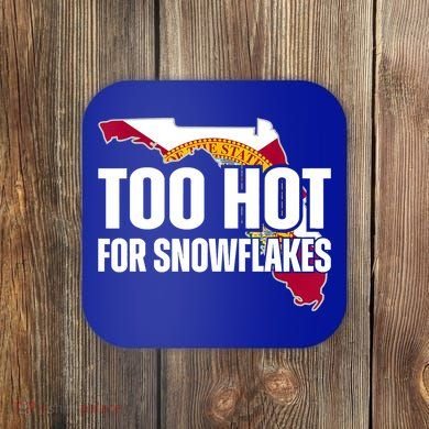 Too Hot For Snowflakes Florida Flag Map State Funny Saying Coaster