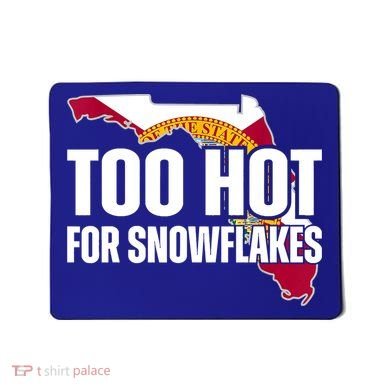 Too Hot For Snowflakes Florida Flag Map State Funny Saying Mousepad