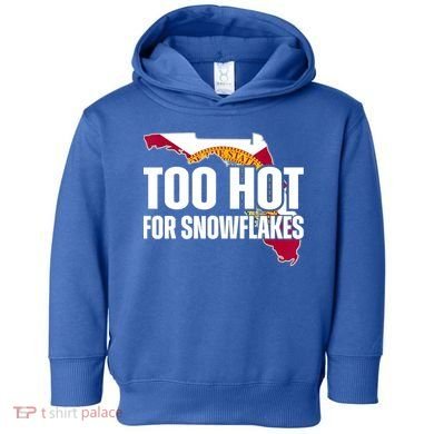 Too Hot For Snowflakes Florida Flag Map State Funny Saying Toddler Hoodie