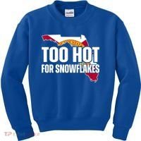 Too Hot For Snowflakes Florida Flag Map State Funny Saying Kids Sweatshirt thumb 0