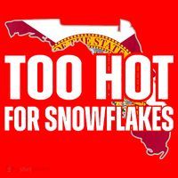 Too Hot For Snowflakes Florida Flag Map State Funny Saying Santa Hat thumb 1