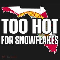 Too Hot For Snowflakes Florida Flag Map State Funny Saying Long Sleeve Shirt thumb 2