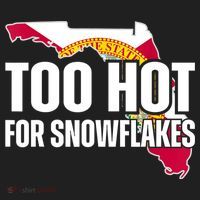 Too Hot For Snowflakes Florida Flag Map State Funny Saying Beanie thumb 2