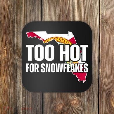 Too Hot For Snowflakes Florida Flag Map State Funny Saying Coaster