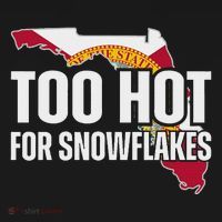Too Hot For Snowflakes Florida Flag Map State Funny Saying Toddler Hoodie thumb 2