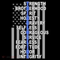 Thin Blue Line Blue Lives Us Flag Ornament thumb 1