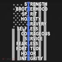 Thin Blue Line Blue Lives Us Flag Toddler Hoodie thumb 2