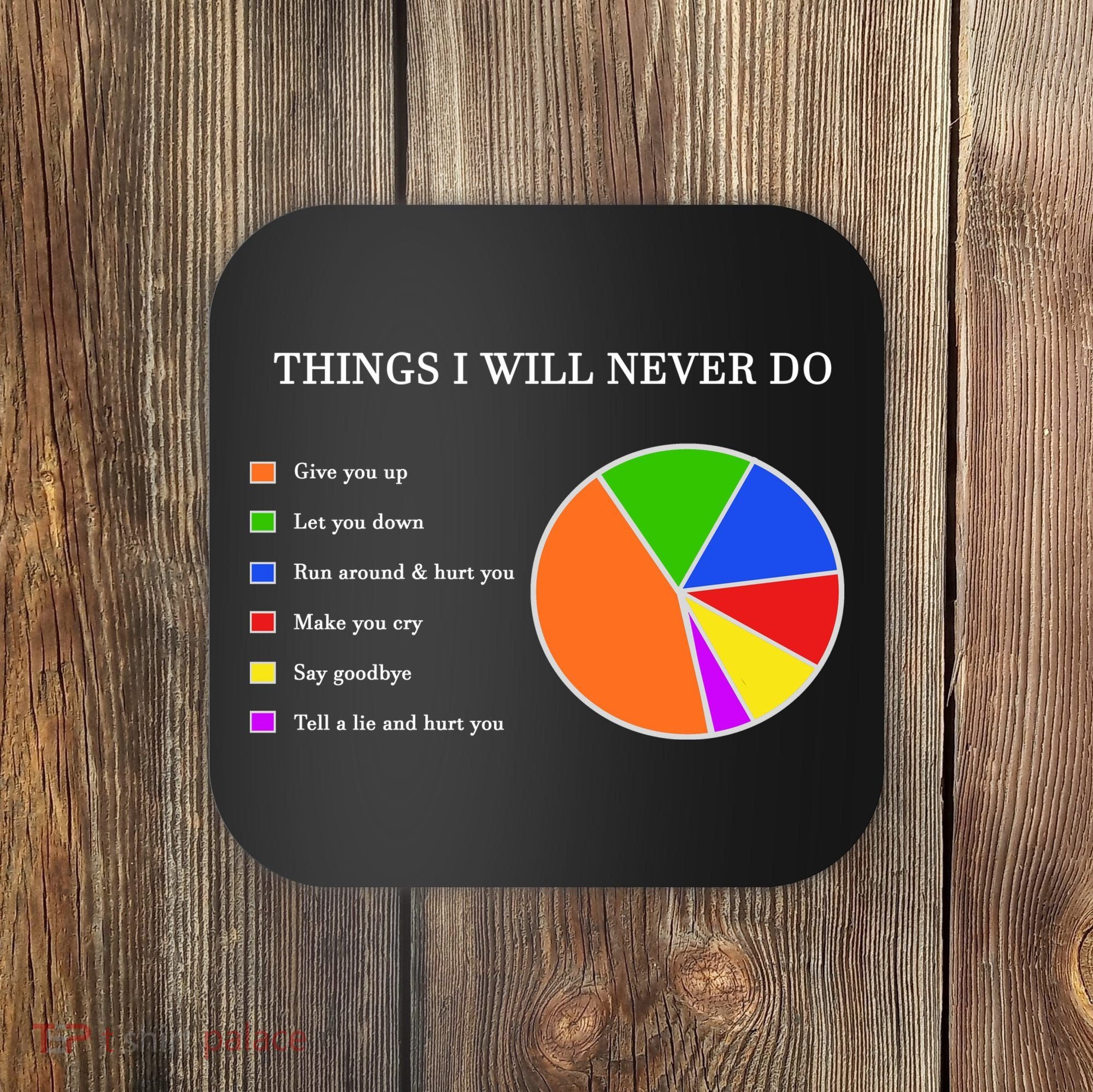 Things I Will Never Do Funny Coaster