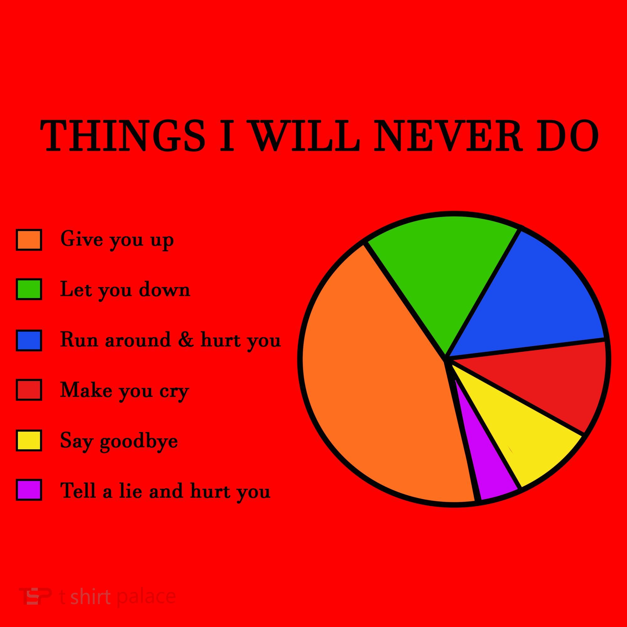 Things I Will Never Do Funny Santa Hat