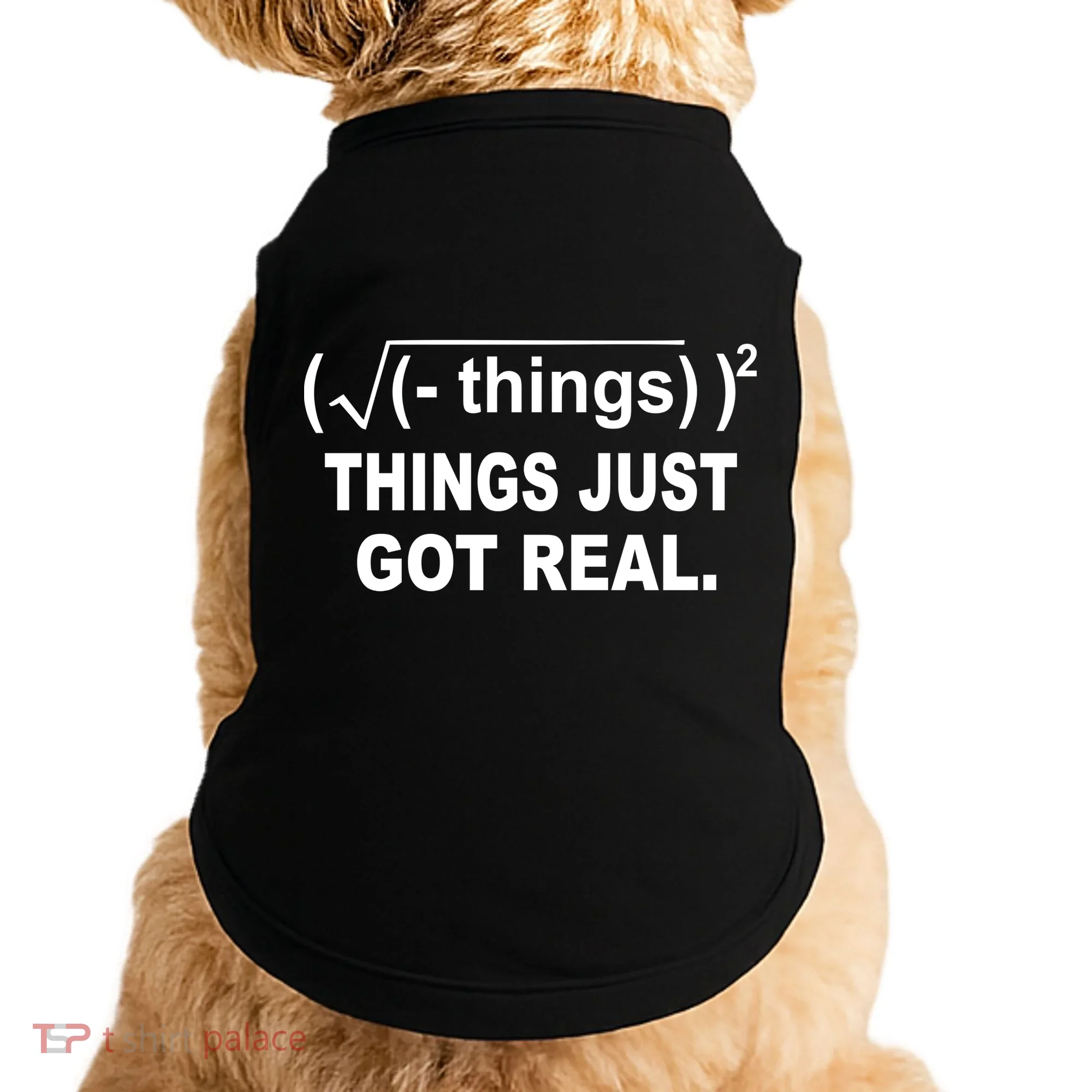 Things Just Got Real Funny Math Doggie Tank