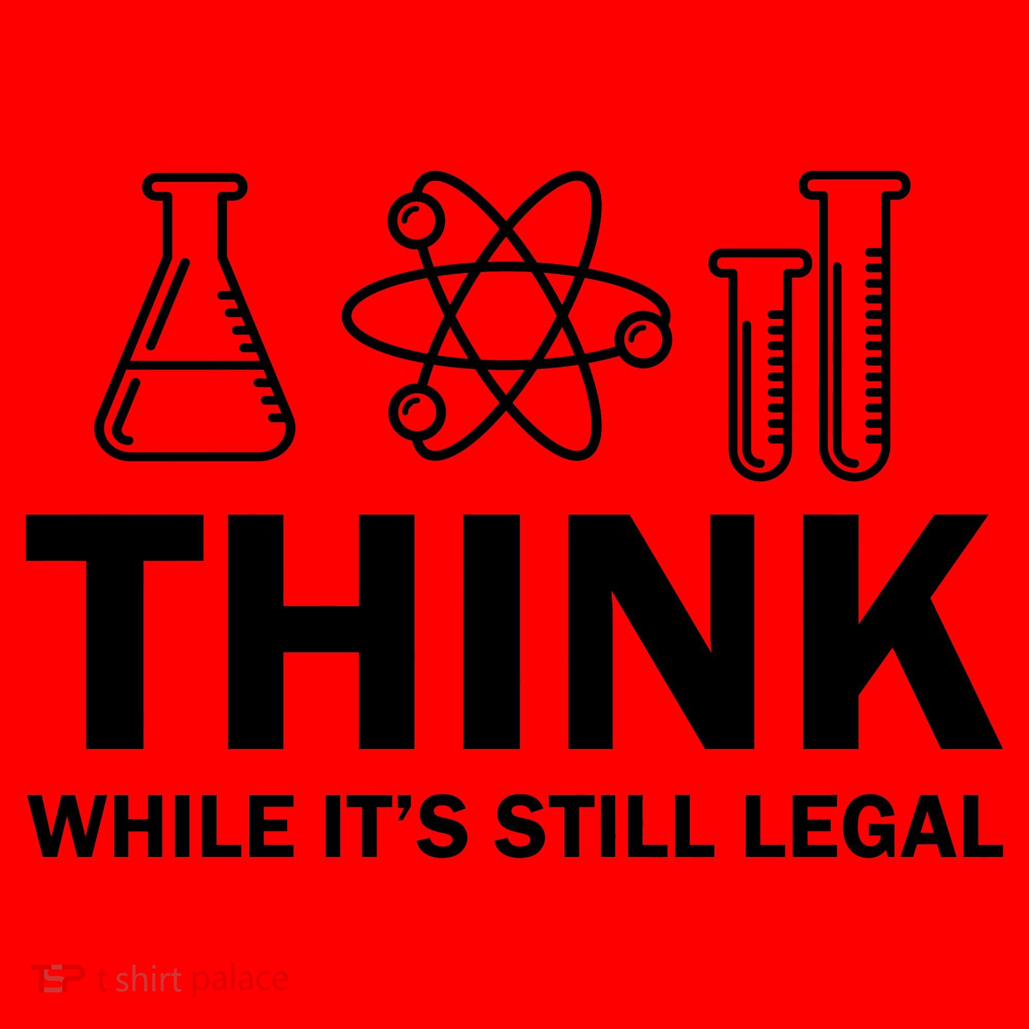 Think While It's Stll Legal Santa Hat