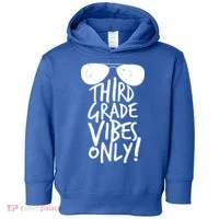 Third Grade Vibes Only Toddler Hoodie thumb 0