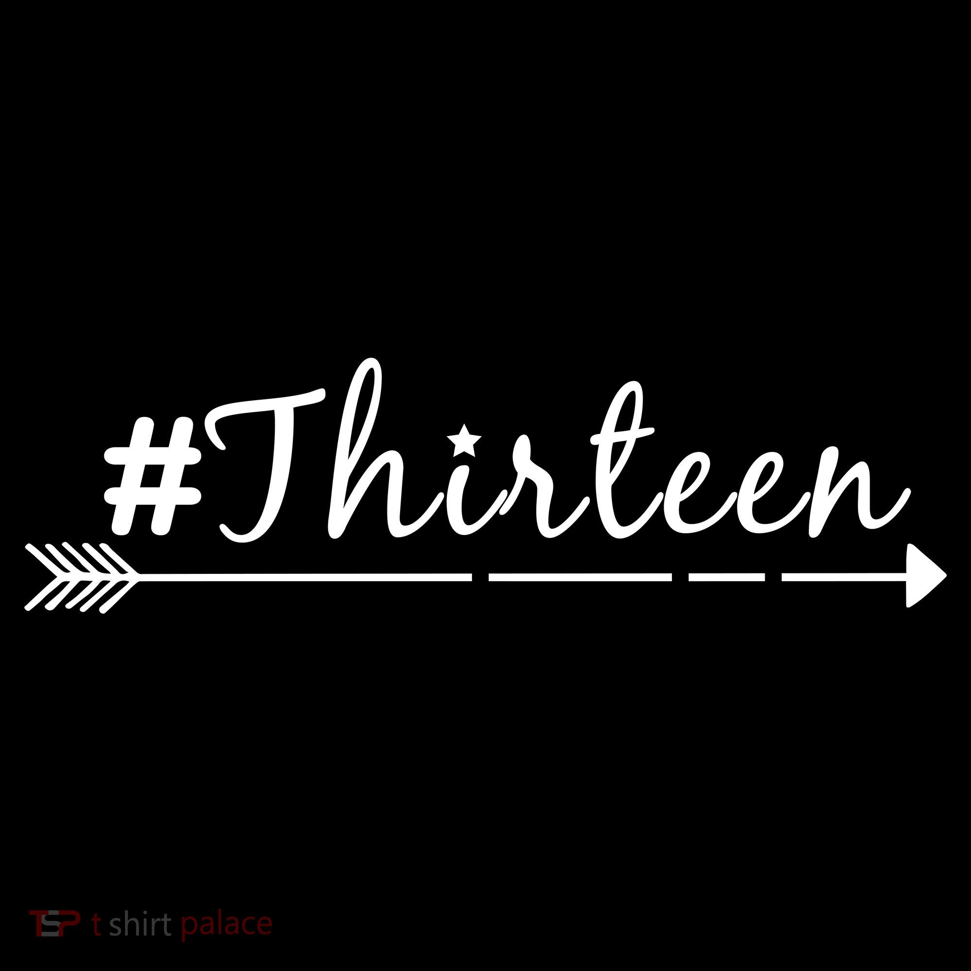 #Thirteen Arrow Coaster