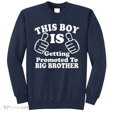 This Boy is Getting Promoted To Big Brother Sweatshirt