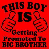 This Boy is Getting Promoted To Big Brother Santa Hat thumb 1