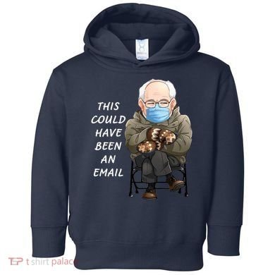 This Could Have Been An Email Bernie Sanders Toddler Hoodie