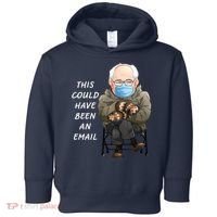 This Could Have Been An Email Bernie Sanders Toddler Hoodie thumb 0
